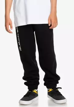 Спортивные брюки ESSENTIAL POLAR-MIT ELASTISCHEM Quiksilver, черный