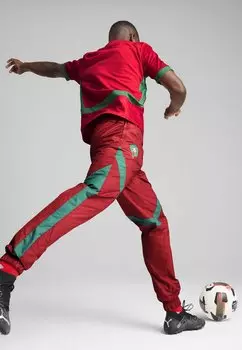 Спортивные брюки FRMF PREMATCH Puma, бордовый