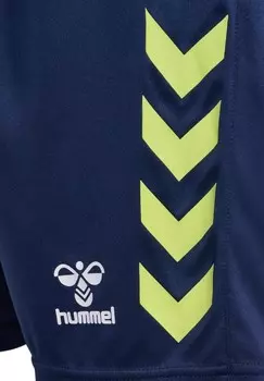 Спортивные брюки GRAPHIC UNIVERSE Hummel, синий