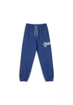 Спортивные брюки HEAVYWEIGHT Grimey, темно-синий