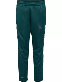 Спортивные брюки Hummel Hmlcore Multisport Kinder, цвет !sea moss