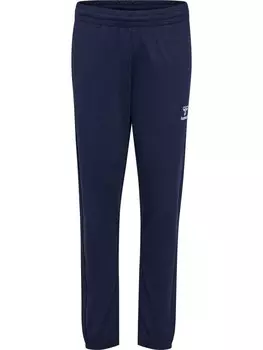 Спортивные брюки Hummel Hmlgo Multisport Kinder, синий