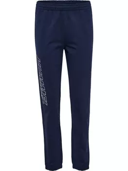 Спортивные брюки Hummel Hmlpulse Multisport Herren, синий