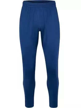 Спортивные брюки Hummel Hmlte Multisport Herren, цвет insignia blue/black