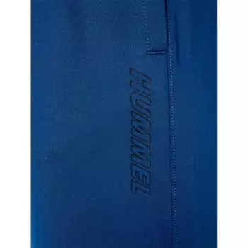 Спортивные брюки Hummel TE Strength, синий