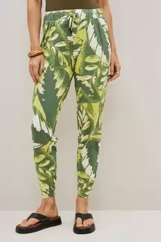 Спортивные брюки из джерси Next, зеленый