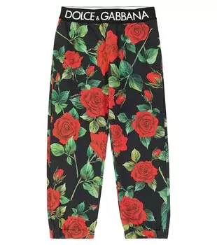 Спортивные брюки из хлопкового джерси с логотипом Dolce&Gabbana, красный