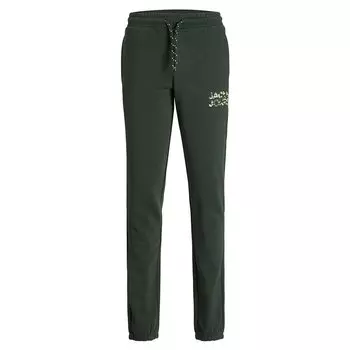 Спортивные брюки Jack & Jones Gordon Miles, зеленый