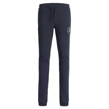 Спортивные брюки Jack & Jones Gordon Swift Sweat, синий