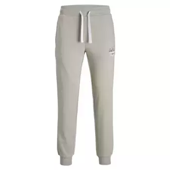 Спортивные брюки Jack & Jones Gordon, зеленый