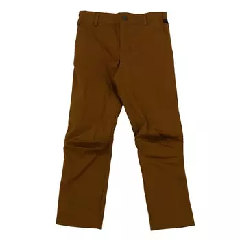 Спортивные брюки Jack Wolfskin F65 Pants, коричневый
