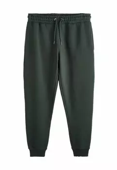 Спортивные брюки JOGGERS SLIM FIT Next, зеленый
