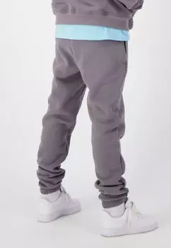 Спортивные брюки JOGGING Black Bananas, серый