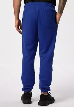 Спортивные брюки JP1880, синий