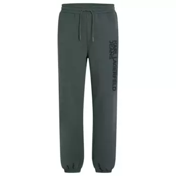 Спортивные брюки Karl Lagerfeld A1M10001, синий