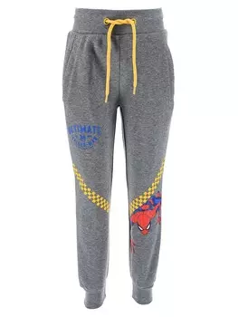 Спортивные брюки Kids Movie Heroes SPIDERMAN, серый