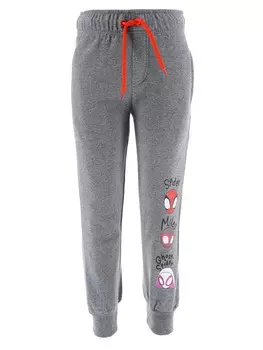 Спортивные брюки Kids Movie Heroes SPIDEY&HIS, серый