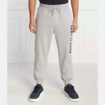 Спортивные брюки классического кроя с гербом Gant, серый