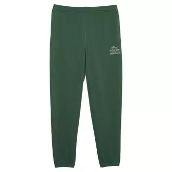Спортивные брюки Lacoste XH1211-00, зеленый