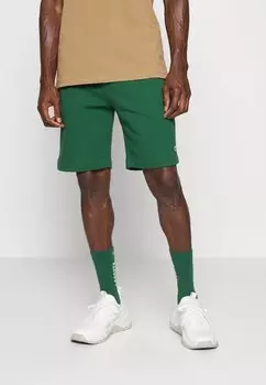 Спортивные брюки Lacoste, зеленый