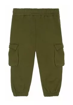 Спортивные брюки LEGEND UNI The New Siblings, зеленый