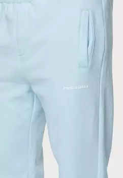 Спортивные брюки LOGO WIDE PANTS Pegador, светло-голубой