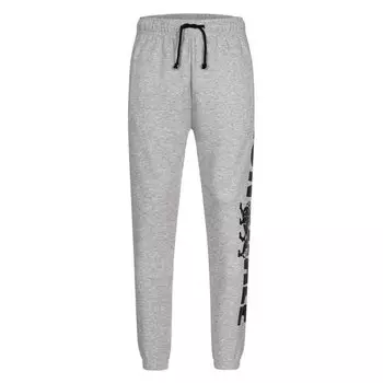 Спортивные брюки Lonsdale Portessie, серый