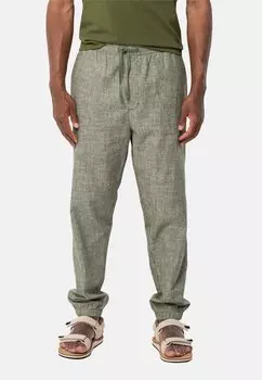 Спортивные брюки M Sandroute Pants M Jack Wolfskin, цвет greenwood