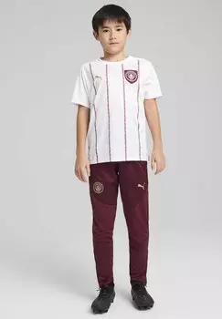 Спортивные брюки MANCHESTER CITY YOUTH Puma, красный