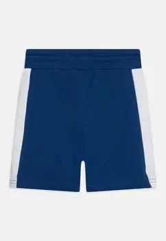 Спортивные брюки MESSI, синий