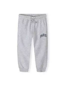 Спортивные брюки Minoti n 18FLEECE 62, серый