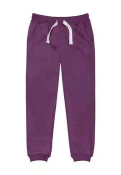 Спортивные брюки Minoti Sweatpants 12JOGEMB 1, фиолетовый