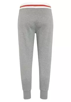 Спортивные брюки MIT BUND UND PATCH Chiemsee, светло-серый