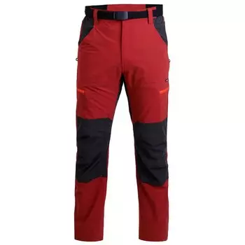 Спортивные брюки Newwood Border, красный