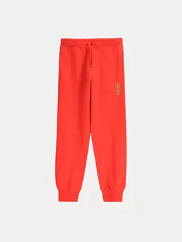 Спортивные брюки обычного кроя WC5120101VBA Coccodrillo, красный