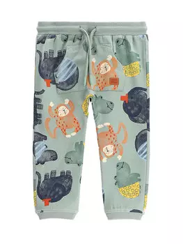 Спортивные брюки обычного кроя WC5120102SBN Coccodrillo, зеленый