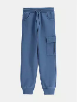 Спортивные брюки обычного кроя WC5120102VBA Coccodrillo, синий