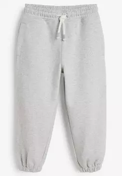 Спортивные брюки Oversized Next, цвет grey