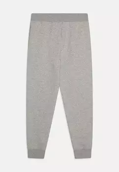 Спортивные брюки PANT ATHLETIC TEENS UNISEX Polo Ralph Lauren, серый