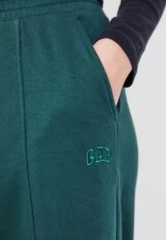 Спортивные брюки PANT GAP, зеленый