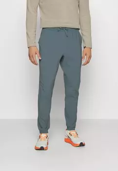 Спортивные брюки Patagonia TERREBONNE JOGGERS, цвет Nouveau Green