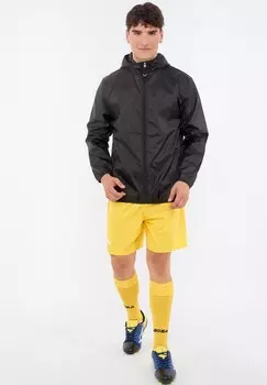 Спортивные брюки PCALCIO LEGEA, желтый