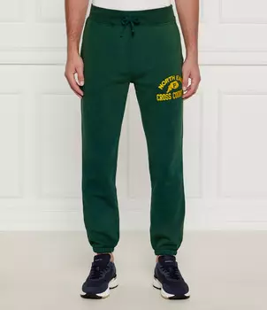 Спортивные брюки POLO RALPH LAUREN Oversize fit, зеленый