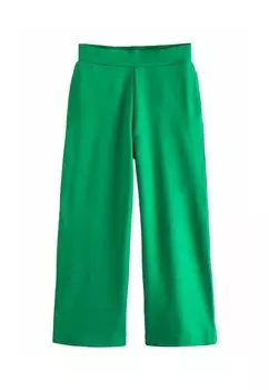 Спортивные брюки PONTE SIDE STRIPE Next, зеленый