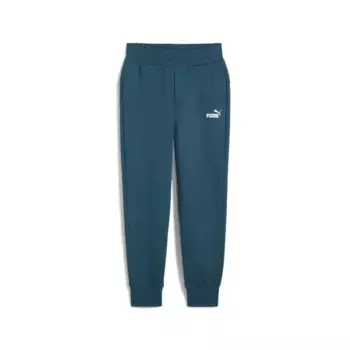 Спортивные брюки Puma ESS, зеленый/синий