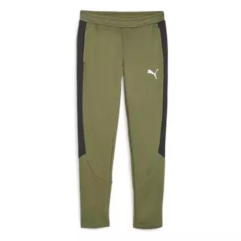 Спортивные брюки Puma Evostripe Dk, зеленый