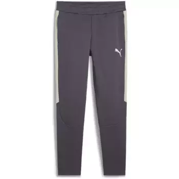 Спортивные брюки Puma Evostripe, серый