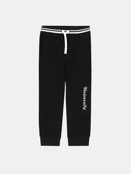 Спортивные брюки regular fit Coccodrillo, черный