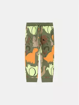 Спортивные брюки regular fit Coccodrillo, зеленый