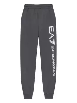 Спортивные брюки с логотипом Ea7 Emporio Armani, серый